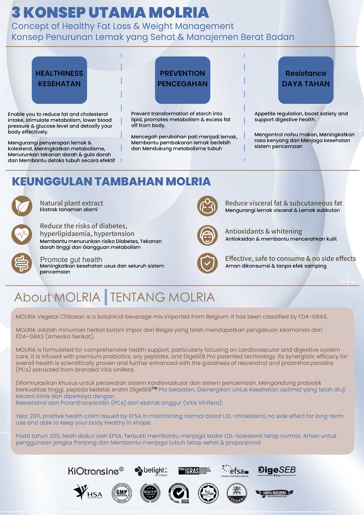 Molria brosur